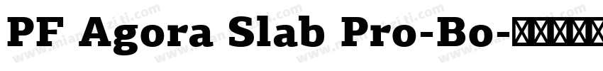 PF Agora Slab Pro-Bo字体转换